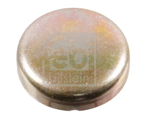 Frost Plug